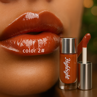 Luminous Mirror Lip Gloss Vintiseti