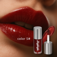 Luminous Mirror Lip Gloss Vintiseti