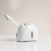 Facial Mist Steamer Vintiseti